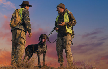 Hunters with a german drathaar and spaniel, pigeon hunting with dogs in reflective vests	