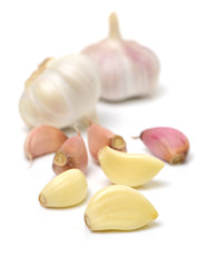 fresh garlic isolated on white background 