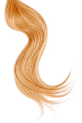 Golden blond hair isolated on white background. Long wavy ponytail