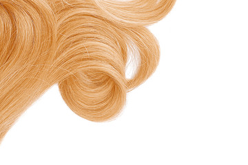 Golden blond hair isolated on white background. Backdrop with copy space