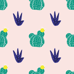 succulents, cactuses and other plants growing in florariums 