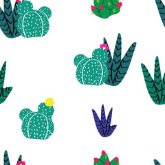 succulents, cactuses and other plants growing in florariums 