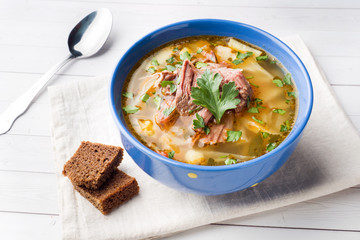 Russian traditional cabbage soup with meat and fresh herbs on a light table.