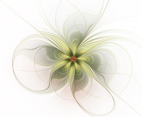 Abstract fractal yellow-green flower on a white background. Fantasy