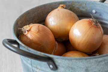 Onions  in a metal pot container with handle.  Grey wood background.