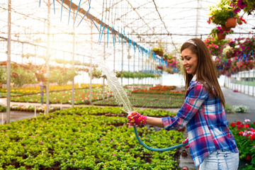 Female florist holding hose and watering plants in greenhouse. Flowers growing in garden center.