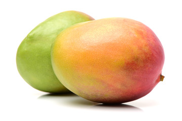 Mango on white background