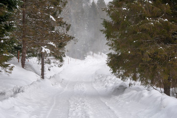 Obraz premium Snowy road in Bieszczady