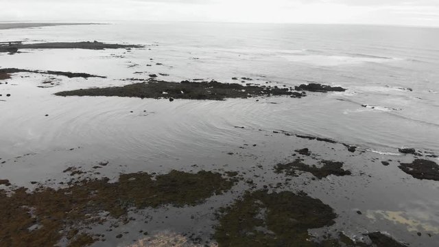 Aerial footage over Ytri Tunga beach located in Iceland. Shallow water with lots of rocks and seagrass. Home of many seals.