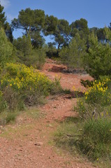Massif des Alpilles, Provence, France