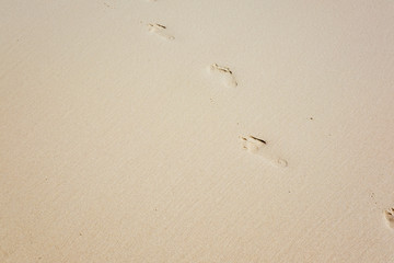 Fototapeta na wymiar step footprint on sand