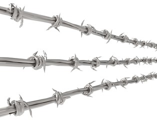 3D rendering of bardbed wire isolated on white background.
