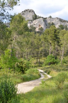 Massif des Alpilles, Provence, France