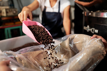 Close-up of woman packing up coffee beans into big bag with shovel on coffee factory