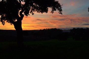 Las Carboneras atardecer