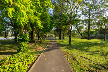 walkway in park
