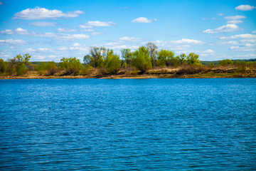 Lake and green meadow with trees