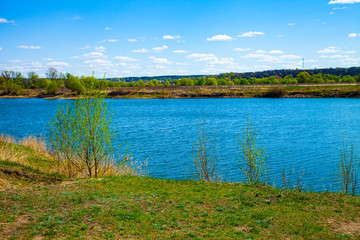Lake and green meadow with trees