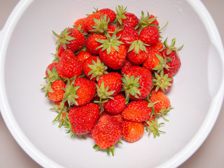 家庭菜園のイチゴ