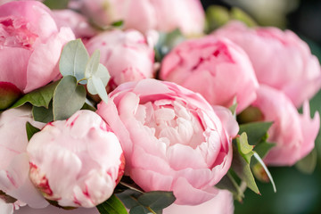 Close-up of flowers Pink peonies . Beautiful peony flower for catalog or online store. Floral shop concept . Beautiful fresh cut bouquet. Flowers delivery - 270166460