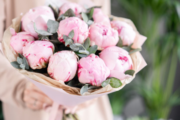 Pink peonies in womans hands. Beautiful peony flower for catalog or online store. Floral shop concept . Beautiful fresh cut bouquet. Flowers delivery