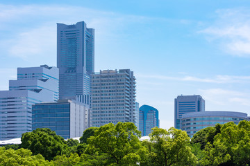 Fototapeta premium (神奈川県ｰ都市風景)横浜みなとみらいのオフィスビル群１