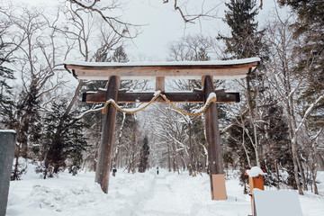 torii in snow at togakushi shrine, Japan