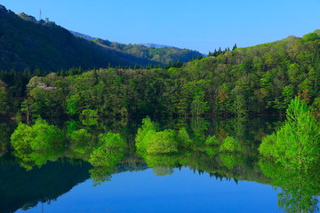 新緑の錦秋湖