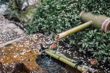 bamboo pour water and sakura leaf