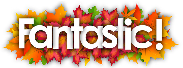 fantastic word and autumn leaves background