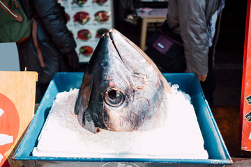 Tuna head in fish market