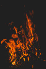 Fototapeta na wymiar dark background bonfire from branches in the fireplace . flame and sparks.