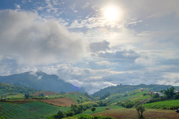 Naklejka premium forest and mountain landscape view