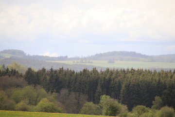 Obraz premium Landschaft im Biosphärengebiet Baden Württembergs