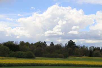 Landschaft im Biosphärengebiet Baden Württembergs