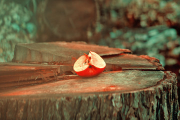 Cut apple in a trunk