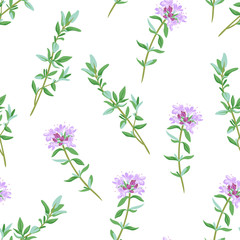 Fototapeta na wymiar Thyme seamless pattern. Wild healing herbs with lilac flowers isolated on white background. Vector illustration of a field plant in cartoon flat style.