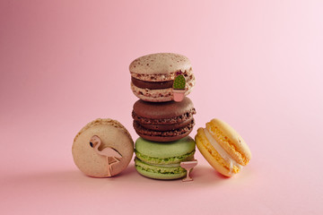macaroon arranged in beautiful composition on a pink background