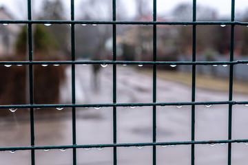 Fence from the grid close-up with drops after rain. - Image