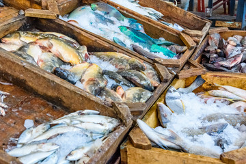 Different fish on fish market in a Hurghada city, Egypt
