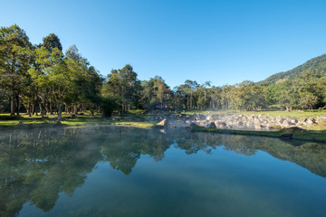 Fototapeta na wymiar hot spring pool and tree background