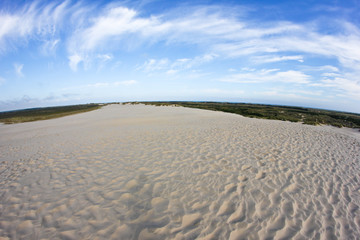 Fototapeta na wymiar A sand dune in Denmark. The largest in the country. 