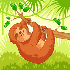Cute sloth sleeping and hanging on a branch in jungle. Cartoon animal vector illustration. Hand drawn vector illustration. Can be used for sticker, phone case, print, poster, t-shirt, holiday or party