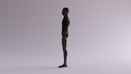 Black Iron Ecorche Half Skeletal System Half Muscle System Anatomical Model Left View 3d illustration 3d render