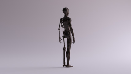Black Iron Ecorche Half Skeletal System Half Muscle System Anatomical Model 3 Quarter Rear Right View 3d illustration 3d render