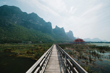 walkway in pool swamp with mountain background