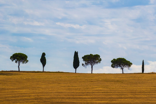 Tuscany landscape