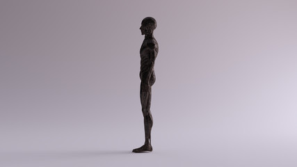 Black Iron Ecorche Muscle and Skeletal System Anatomical Model Left View 3d illustration 3d render