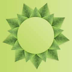 Fototapeta na wymiar Border with green leaves on green background. Vector illustration.