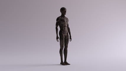 Black Iron Ecorche Muscle and Skeletal System Anatomical Model 3 Quarter Front Right View 3d illustration 3d render